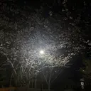 秋谷 威晴のプロフィール画像