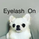 Total Beautyのプロフィール画像