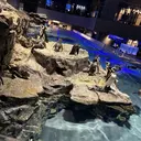 Mian津田沼 Yumiのプロフィール画像