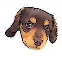 Private Salon 大宮のプロフィール画像