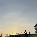 💜VuRiE立川 AYANO🐆💜のプロフィール画像