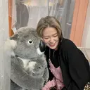 🎀みさき🎀 韓国レイヤー/ボブのプロフィール画像