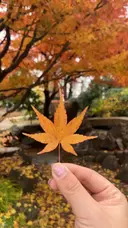 神山 瑠衣のプロフィール画像