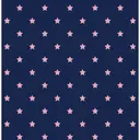 hina ⭐︎のプロフィール画像