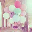 mocca🕊🫧 ayamiのプロフィール画像