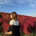 Kitajima 🕊のプロフィール画像