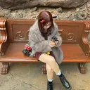 茂木 陽菜のプロフィール画像