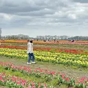 SOL maiのプロフィール画像