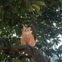 ボブ/ベージュ/ パーマ🪿近森ゆいのプロフィール画像