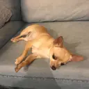 yajima kazuyaのプロフィール画像