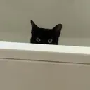 所澤 めぐのプロフィール画像