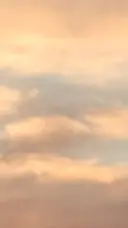 志村 明花のプロフィール画像