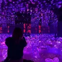 アイリスト SHIORIのプロフィール画像