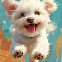 み きのプロフィール画像