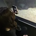 memelu ナガイのプロフィール画像