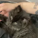 松崎 真衣のプロフィール画像