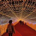 たぐち 🤍のプロフィール画像