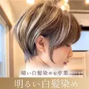 谷田 知洋のプロフィール画像