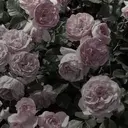 佐藤 あさひのプロフィール画像