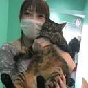 ✿ chika ♡のプロフィール画像