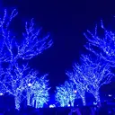 ★糀谷 敬大のプロフィール画像