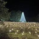 Lily CHINATSUのプロフィール画像