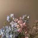 asami ⋆𐙚₊⊹のプロフィール画像