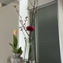 kaede nailのプロフィール画像