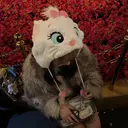 NANAMI 🐈⬛のプロフィール画像