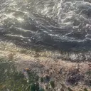 iguchi sanaのプロフィール画像