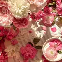 LUCULIA 倉島のプロフィール画像