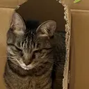 GLOW ⭐︎MIKOのプロフィール画像