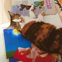 🌺 NANAMI 🌺のプロフィール画像