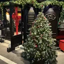 SANO YUIのプロフィール画像