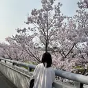 空花 立雨のプロフィール画像