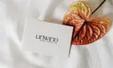 UNWIND アンワインドのプロフィール画像