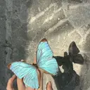 マギー ネイル🦋のプロフィール画像