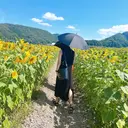 Luana /yukikoのプロフィール画像