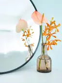 Murakami Mihoのプロフィール画像