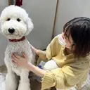 コバヤシ ユメのプロフィール画像