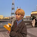 木村 大暉のプロフィール画像