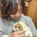 コテ巻き風パーマ /志村大成のプロフィール画像