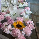 kou .のプロフィール画像