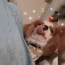 孔 ジンシェンのプロフィール画像