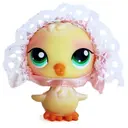 中村 美星のプロフィール画像