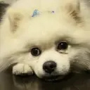 宮本 里奈のプロフィール画像