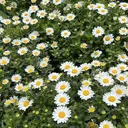 佐藤 玲奈のプロフィール画像