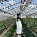 🎀iida yura🎀のプロフィール画像