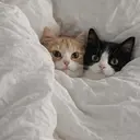 熊本上通店spira ｜rianのプロフィール画像