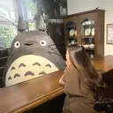 Roi / SHIHOのプロフィール画像